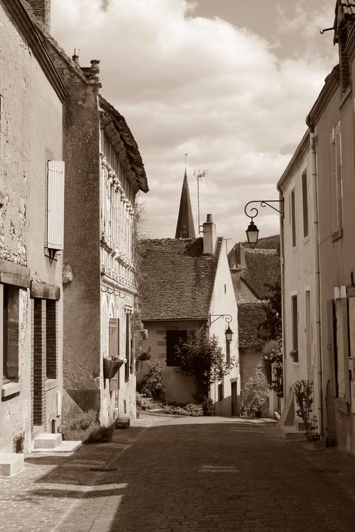 Le Meuble Monestois Villa Mennetou-sur-Cher Kültér fotó